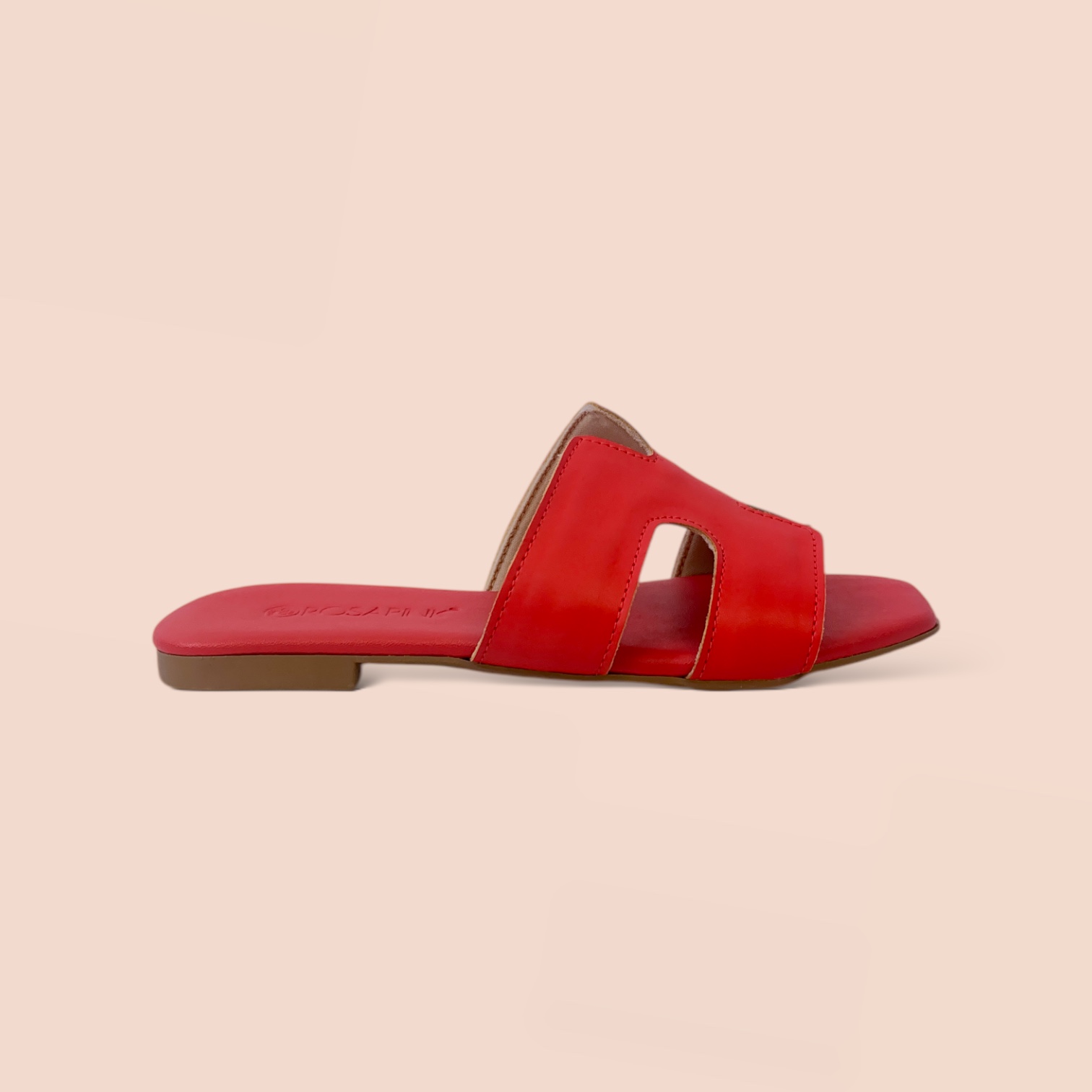 PhotoRoom_20250129_105234